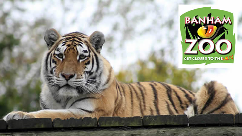 Visit Banham Zoo's Website