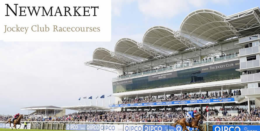 Visit Newmarket Racecourse Website